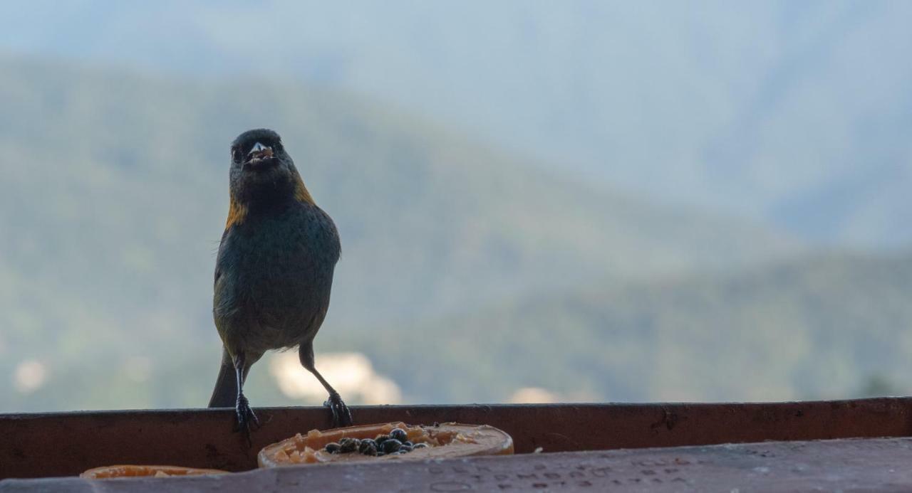 Ore Suites E Chales Ubatuba Zewnętrze zdjęcie