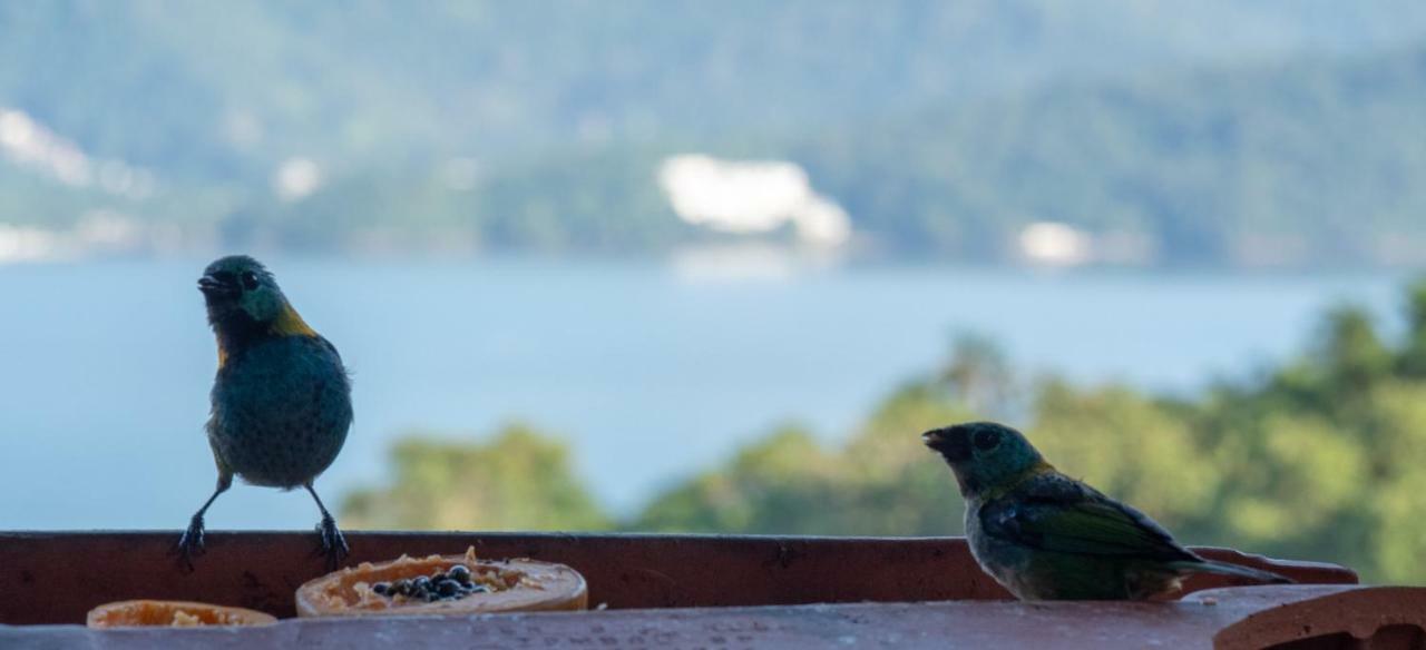 Ore Suites E Chales Ubatuba Zewnętrze zdjęcie